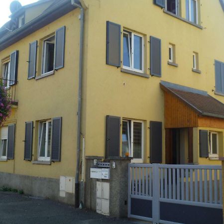 Gite Le Schnouki Ostheim Bagian luar foto